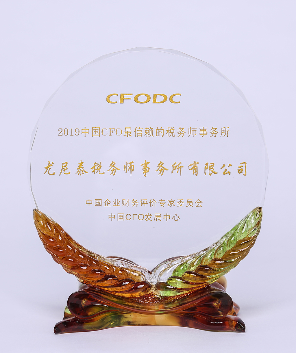 1594794899187193.jpg 2019CFO獎(jiǎng)牌(白底).JPG